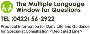 The Multiple Language Window for Questions